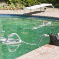 Algas de Piscina