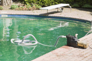 Limpeza de Algas de Piscina