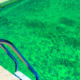 Limpeza de agua verde de piscinas