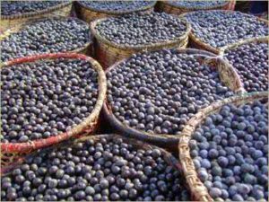 Como tirar manchas de açai