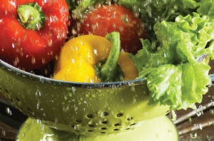Limpeza de Alimentos