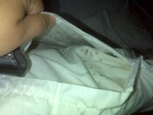 Como tirar bolor de roupa passo-a-passo