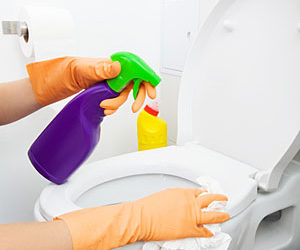 Como limpar vaso sanitário, dicas e produtos1
